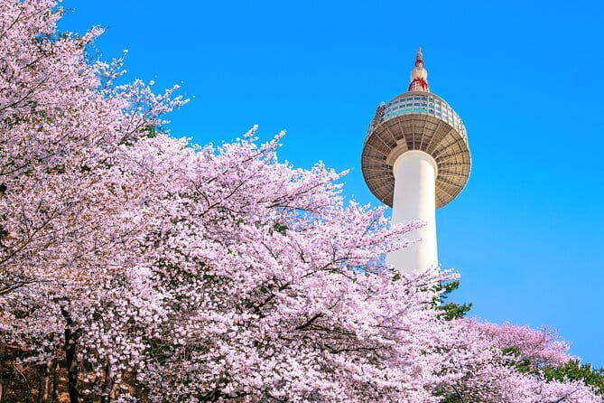 Seoul: N Tower Observatory Ticket - Mixed Reviews & Considerations
