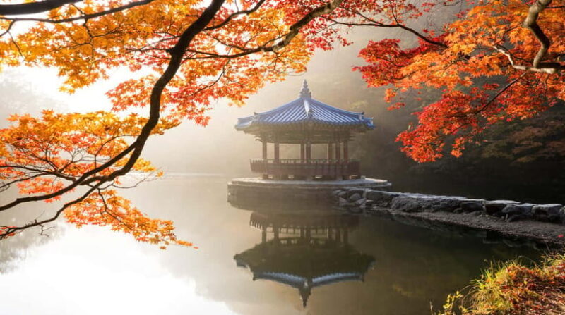 Seoul: Naejangsan National Park Autumn Foliage One Day Tour - Final Thoughts