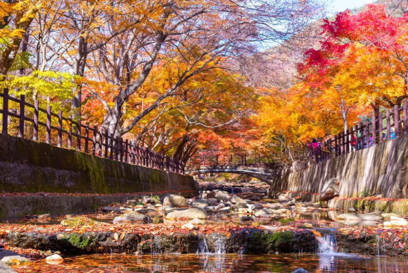 Seoul: Naejangsan National Park Autumn Foliage One Day Tour - FAQs