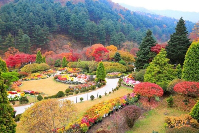 Seoul: Nami and Petite France Tour with Optional K-Garden - Who Will Enjoy This Tour?