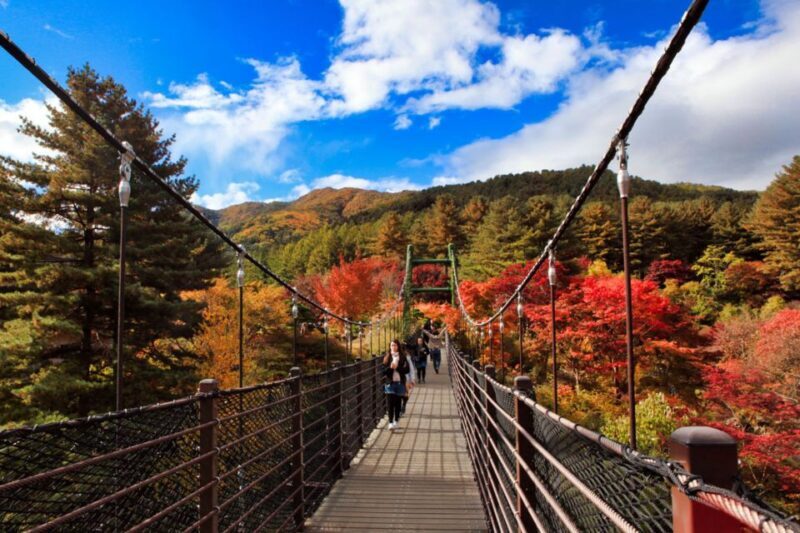 Seoul: Nami and Petite France Tour with Optional K-Garden - The Sum Up
