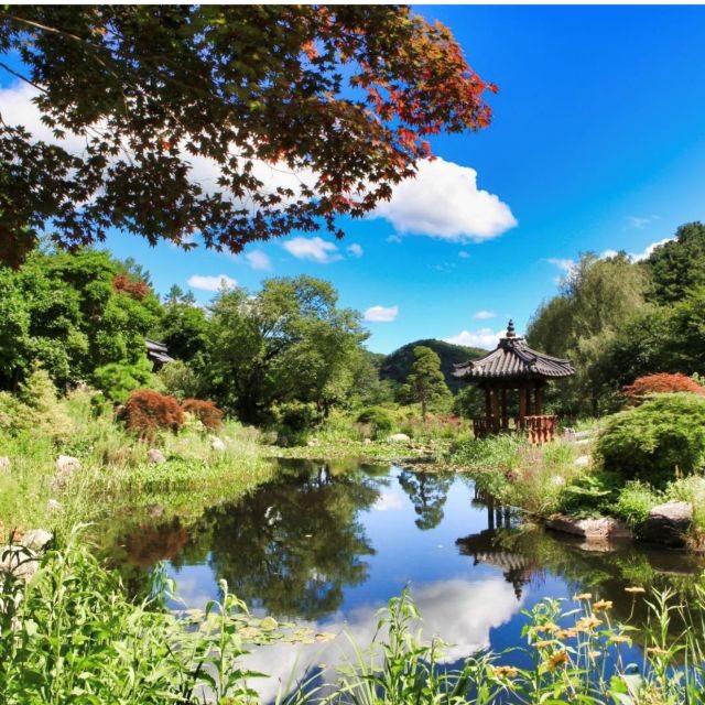 Seoul: Nami and Petite France Tour with Optional K-Garden - FAQ
