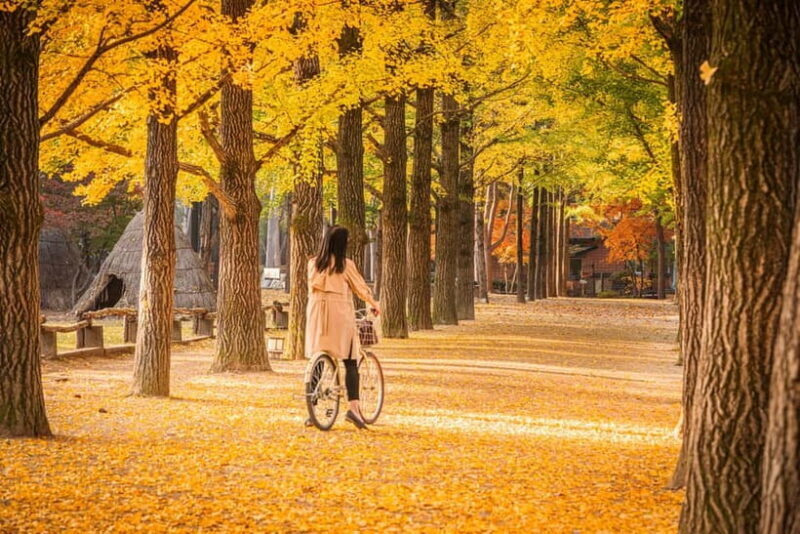Seoul: Nami Island and Garden of Morning Calm (opt Railbike) - Key Points