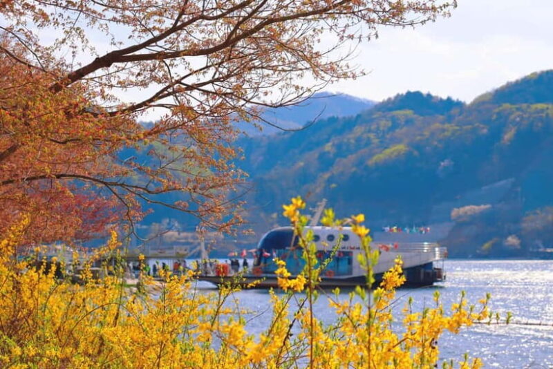 Seoul: Nami Island and Garden of Morning Calm (opt Railbike) - An In-Depth Look at the Tour