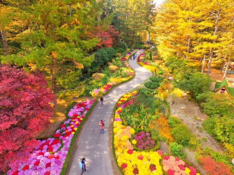 Seoul: Nami Island and Garden of Morning Calm (opt Railbike) - Final Thoughts