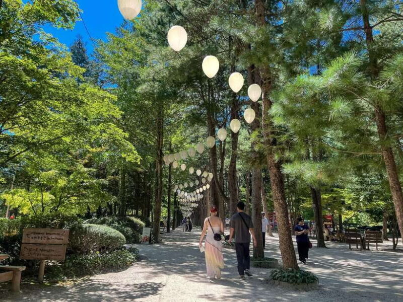 Seoul: Nami Island & Petite France Tour with Railbike Option - Key Points: