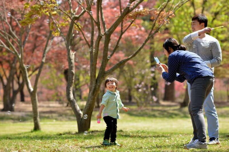 Seoul: Nami Island & Petite France Tour with Railbike Option - Why You’ll Love This Tour