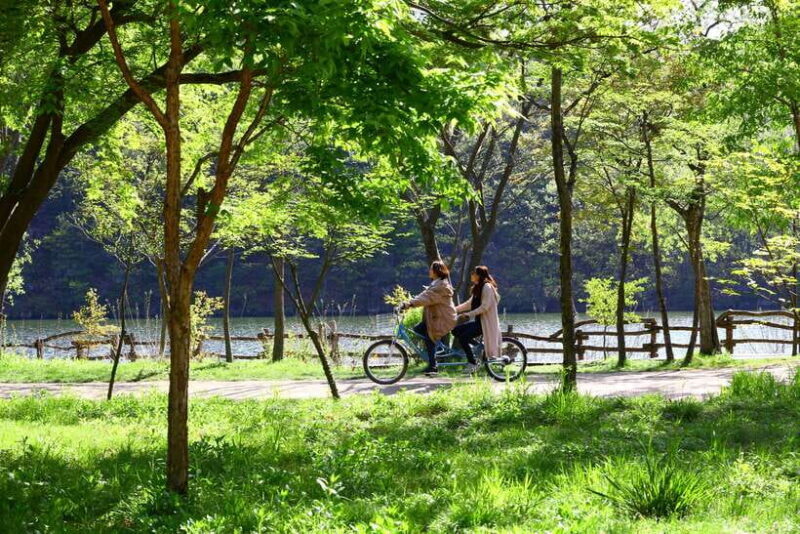 Seoul: Nami Island & Petite France Tour with Railbike Option - What Sets the Experience Apart