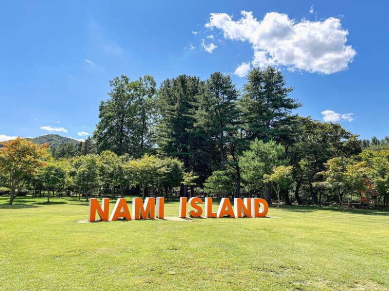 Seoul: Nami Island & Petite France Tour with Railbike Option - Who Will Enjoy This Tour?