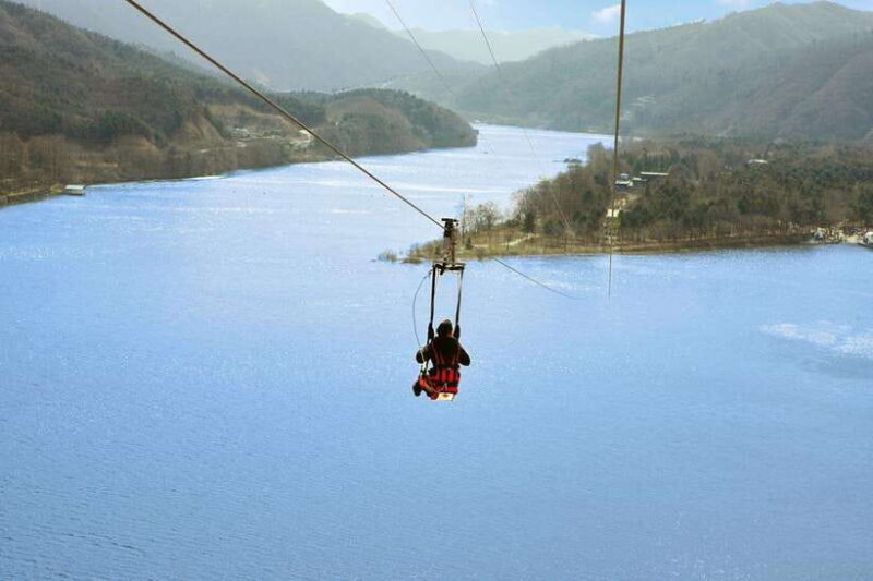Seoul: Nami Island & Petite France Tour with Railbike Option - FAQs
