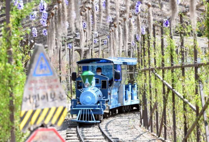 Seoul: Nami Island & Petite France Tour with Railbike Option - Final thoughts