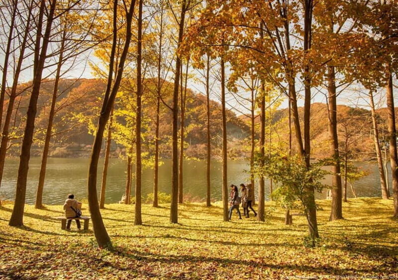 Seoul: Nami+Hanbok+Waterfall(+RailBike or Strawberry)Tour - Key Points