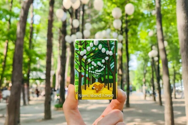 Seoul: Nami+Hanbok+Waterfall(+RailBike or Strawberry)Tour - The Sum Up: Is It Worth It?