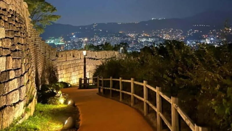 Seoul: Night Tour with Coffee and Market Visit - FAQ