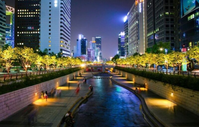 Seoul: Nighttime Tour of Palace, Market, Naksan Park & More - An In-Depth Look at the Night Tour of Seoul