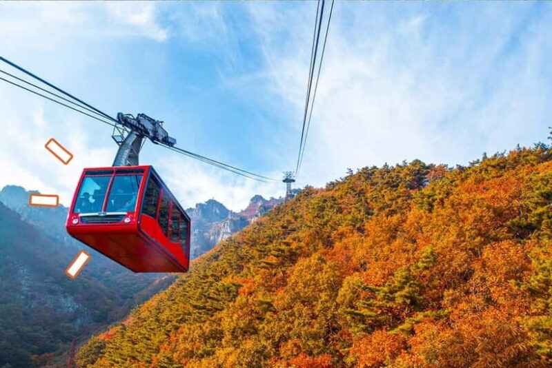 Seoul: Odaesan or Daedunsan Park Autumn Foliage Day Tour - A Close Look at the Itinerary: What’s in Store