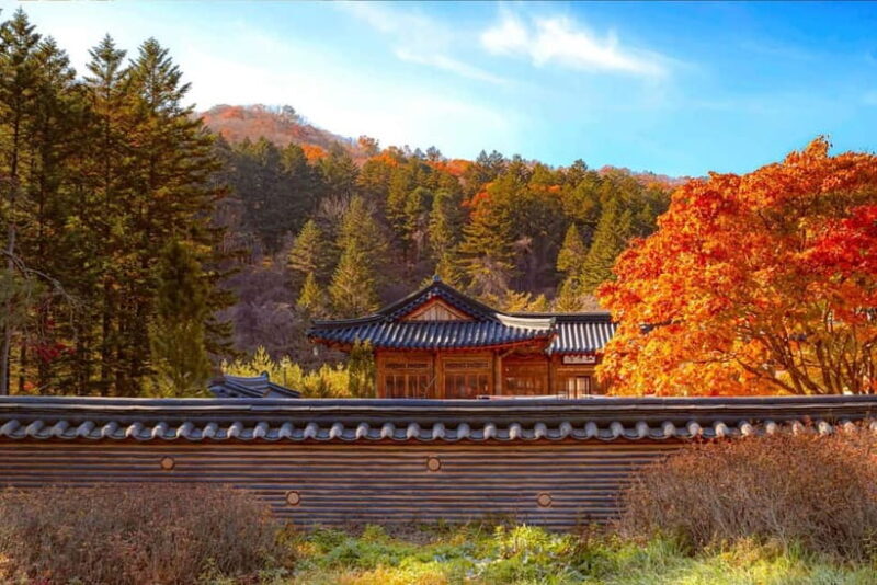 Seoul: Odaesan or Daedunsan Park Autumn Foliage Day Tour - Real Traveler Insights and Experience