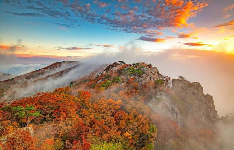 Seoul: Odaesan or Daedunsan Park Autumn Foliage Day Tour - The Sum Up