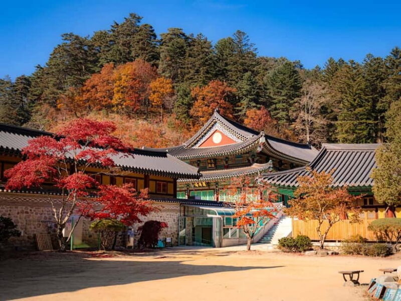 Seoul: Odaesan or Daedunsan Park Autumn Foliage Day Tour - FAQ