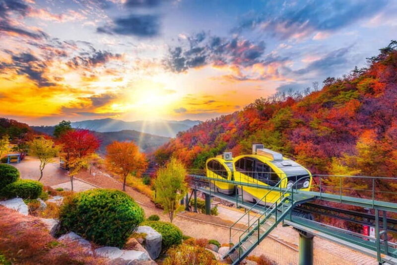 Seoul: Pocheon Art Valley, Garden and Fruit Picking Day Tour - Key Points