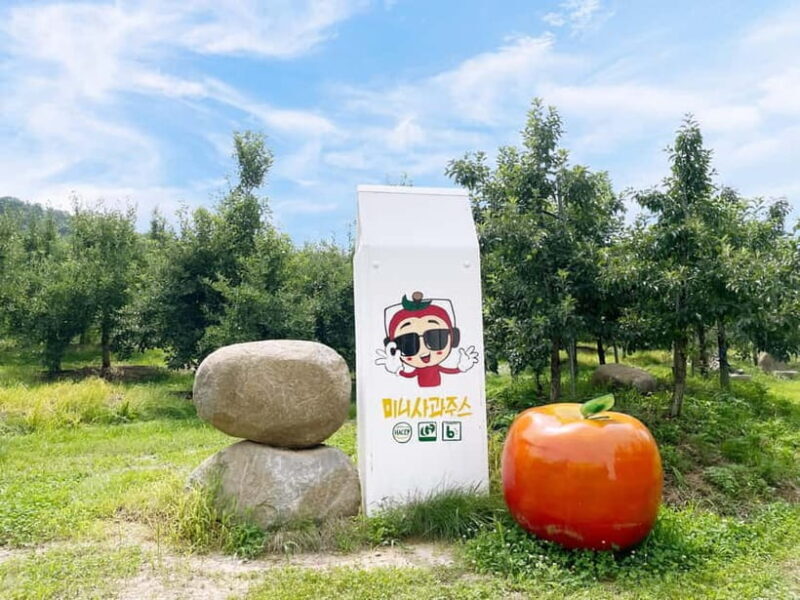 Seoul: Pocheon Art Valley, Garden and Fruit Picking Day Tour - FAQ
