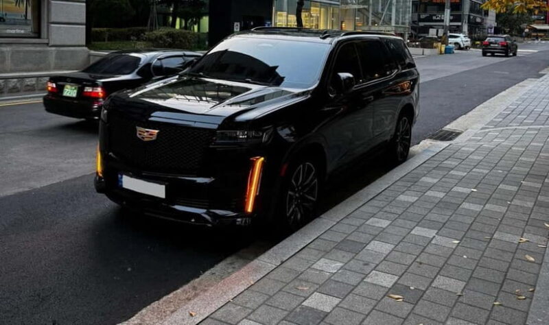 Seoul: Private Luxury Vehicle Tour - English/Spanish guiding - Introduction