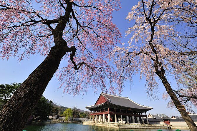Seoul Private Tour Gyeongbok Palace Bukchon and Gwangjang Market - Exploring Seoul’s Landmark: Gyeongbokgung Palace