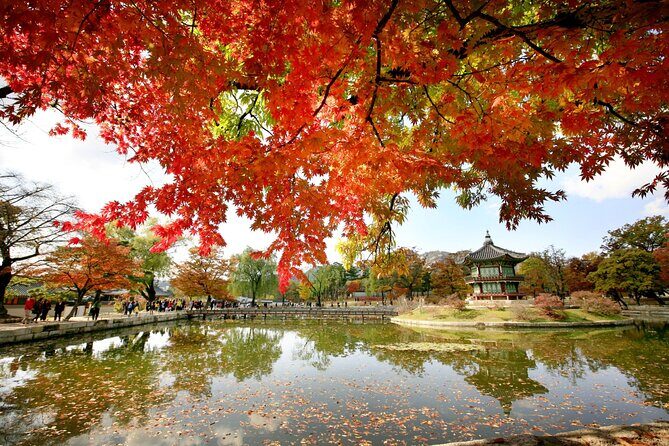 Seoul Private Tour Gyeongbok Palace Bukchon and Gwangjang Market - Breathtaking Views from Bugak Skyway