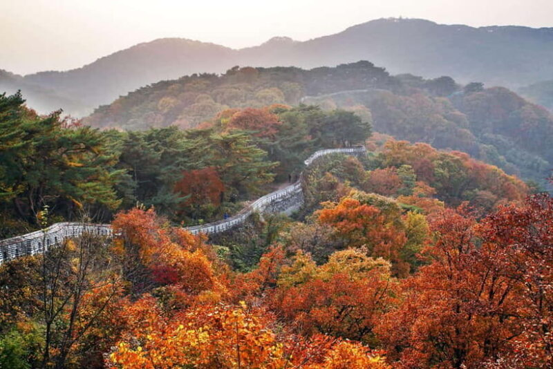 Seoul: Royal Tomb of King Sejong & Icheon Ceramic (EG Tour) - The Highlights of the Tour: A Deep Dive