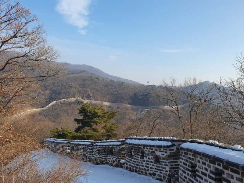 Seoul: Royal Tombs & Namhansanseong Fortress Tour - Who Should Consider This Tour?