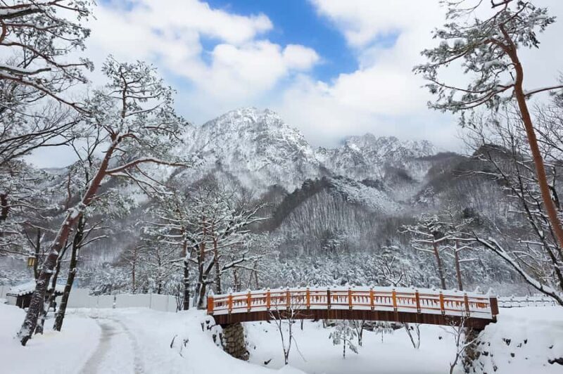 Seoul: Seorak Mountain+Nami Island+Eobi Ice Valley Tour - Exploring the Itinerary in Detail