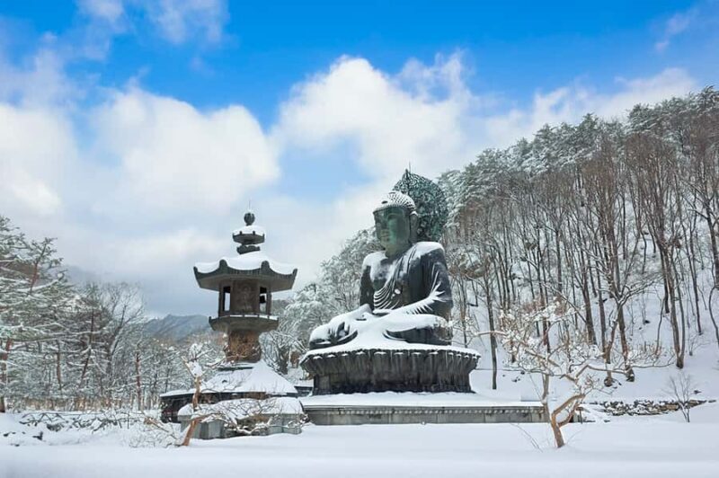 Seoul: Seorak Mountain+Nami Island+Eobi Ice Valley Tour - Authentic Experiences and Reviews