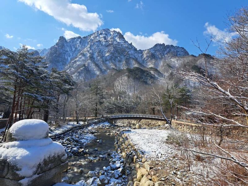 Seoul: Seorak Mountain+Nami Island+Eobi Ice Valley Tour - The Sum Up