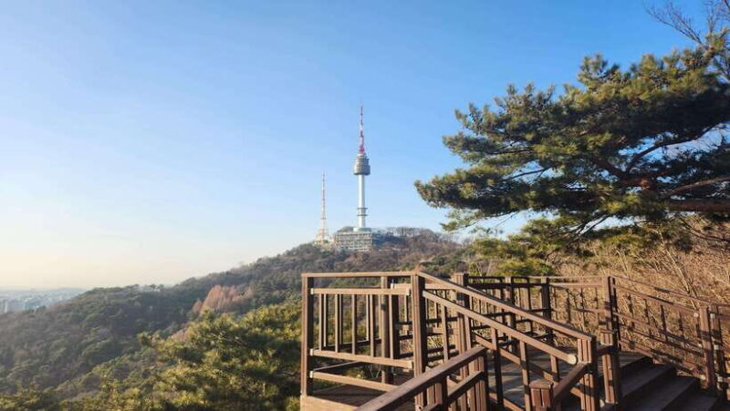 Seoul: Services of a Local for a Day (Paperwork/Tour/Fun) - Key Points
