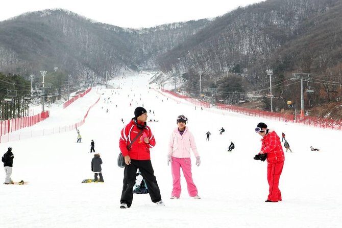 Seoul Ski Tour at Jisan Forest Resort - What Travelers Are Saying
