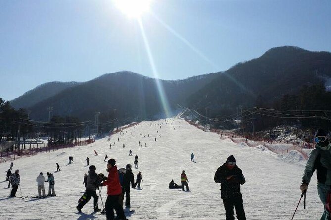 Seoul Ski Tour at Jisan Forest Resort - Frequently Asked Questions