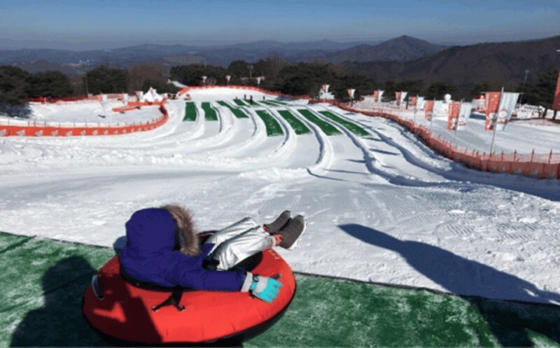 Seoul: SnowyLand in Vivaldi Park with Nami or Alpaca - What Is this Tour All About?
