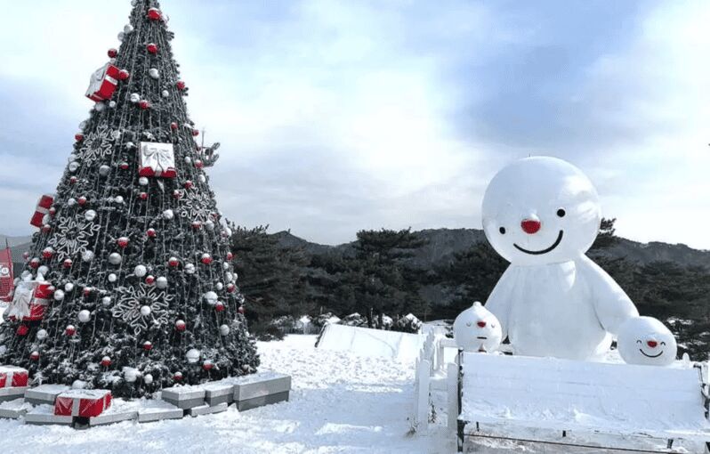Seoul: SnowyLand in Vivaldi Park with Nami or Alpaca - The Logistics and Practicalities