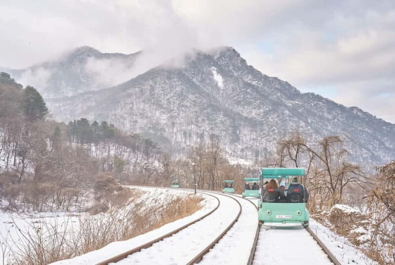 Seoul: Strawberry & Eobi Ice Valley & Nami + Optional Spots - A Full Breakdown: What to Expect on this Winter Day Tour