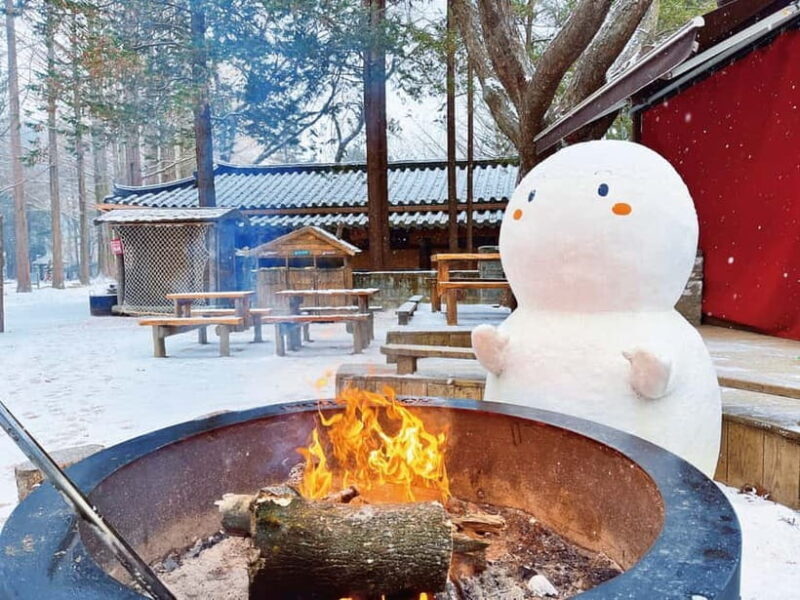 Seoul: Strawberry & Eobi Ice Valley & Nami + Optional Spots - Who Is This Tour Best For?