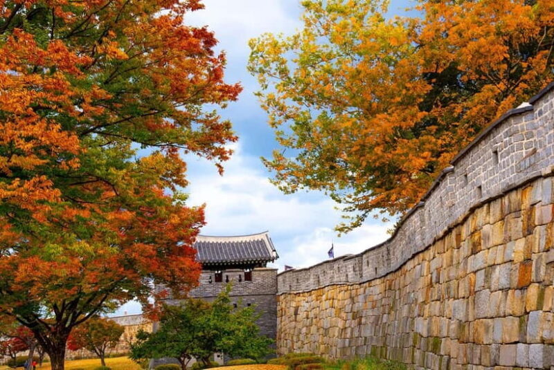 Seoul: Suwon Hwaseong Fortress & Korean Folk Village Tour - A Closer Look at the Tour Experience