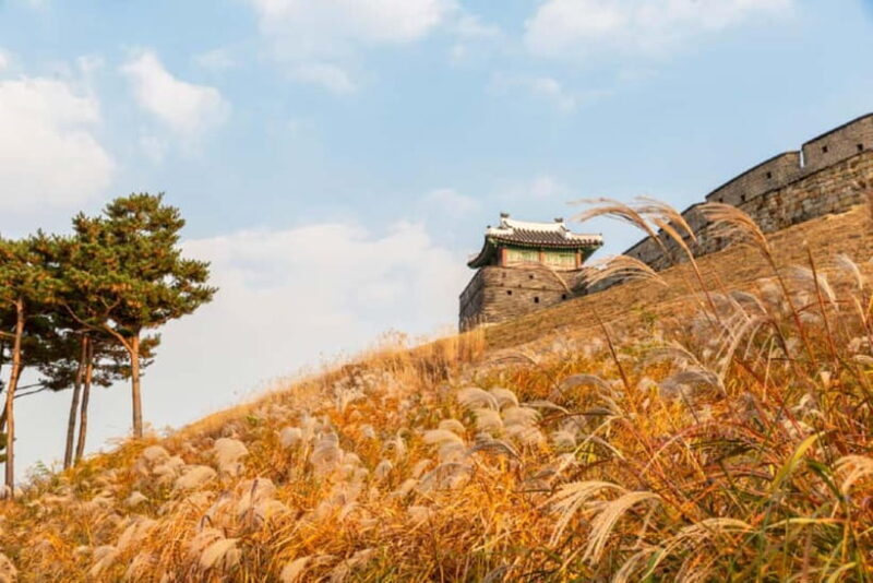 Seoul: Suwon Hwaseong Fortress & Korean Folk Village Tour - Who This Tour Is For