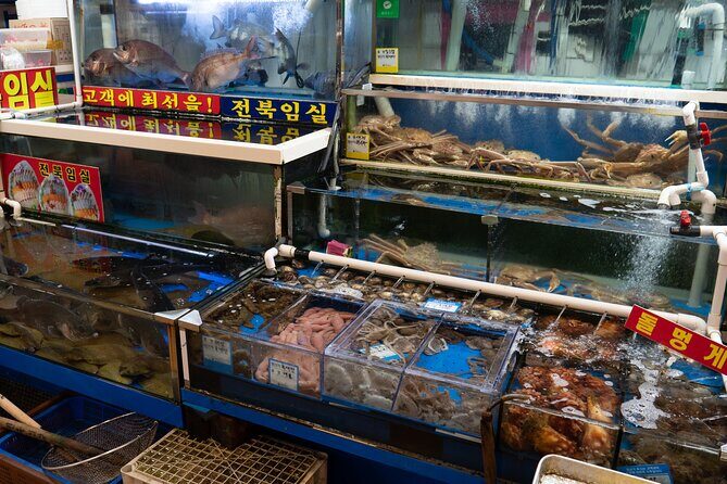 Seoul: The Biggest Sea-food Noryangjin Market Gastroventure Tour - FAQ