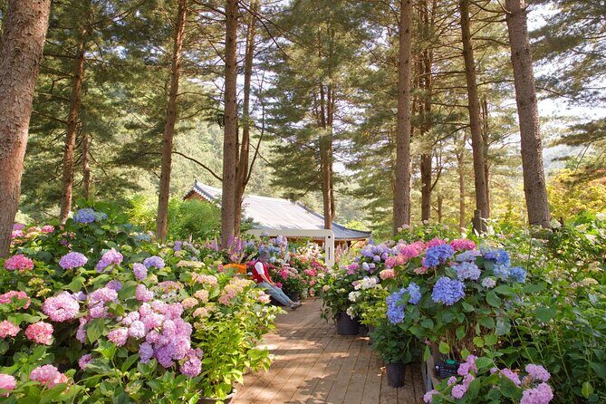 Seoul Vicinity 5 in 1: Nami Island, Garden of Morning Calm & More - The Itinerary in Detail