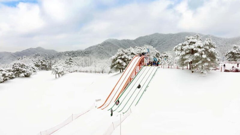 Seoul: Vivaldi Park Winter Ski with Eobi Ice Valley Day Tour - What’s Included and What to Expect