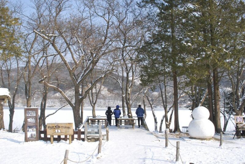 Seoul: Vivaldi Park Winter Ski with Nami Island Day Tour - An In-Depth Look at the Tour