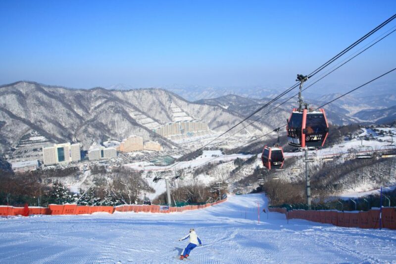 Seoul: Vivaldi Park Winter Ski with Nami Island Day Tour - Final Thoughts