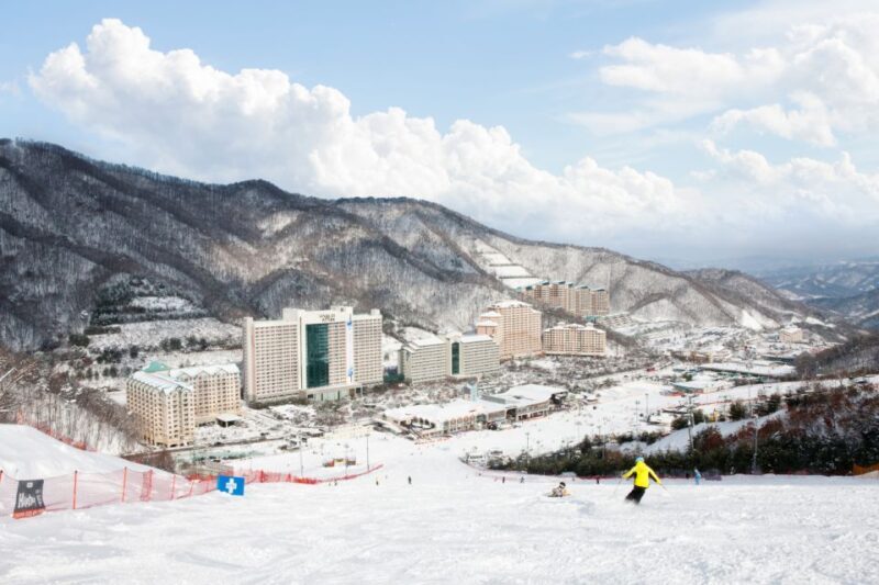 Seoul: Vivaldi Park Winter Ski with Nami Island Day Tour - FAQ