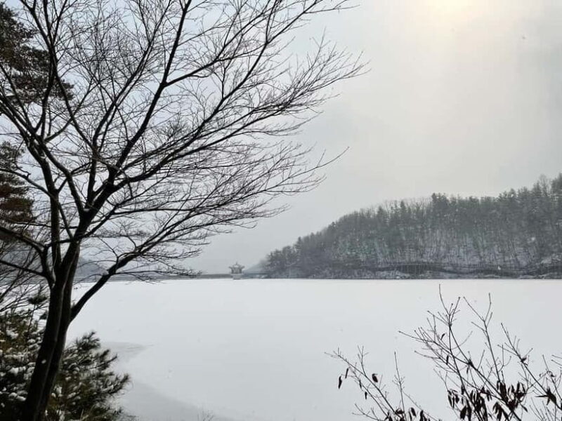 Seoul: Winter Day Tour in Pocheon with Strawberry Picking - A Detailed Look at the Tour Experience