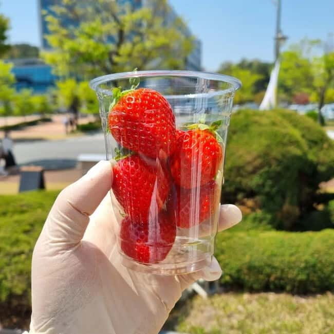 Seoul: Winter Day Tour in Pocheon with Strawberry Picking - Final Thoughts: Who Should Consider This Tour?